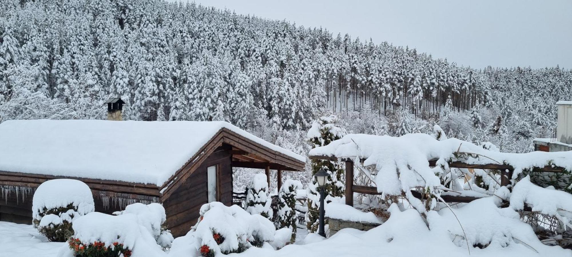 Панорама Хаус Лещен И Еко Къщи Дървена И Землянка Luaran gambar