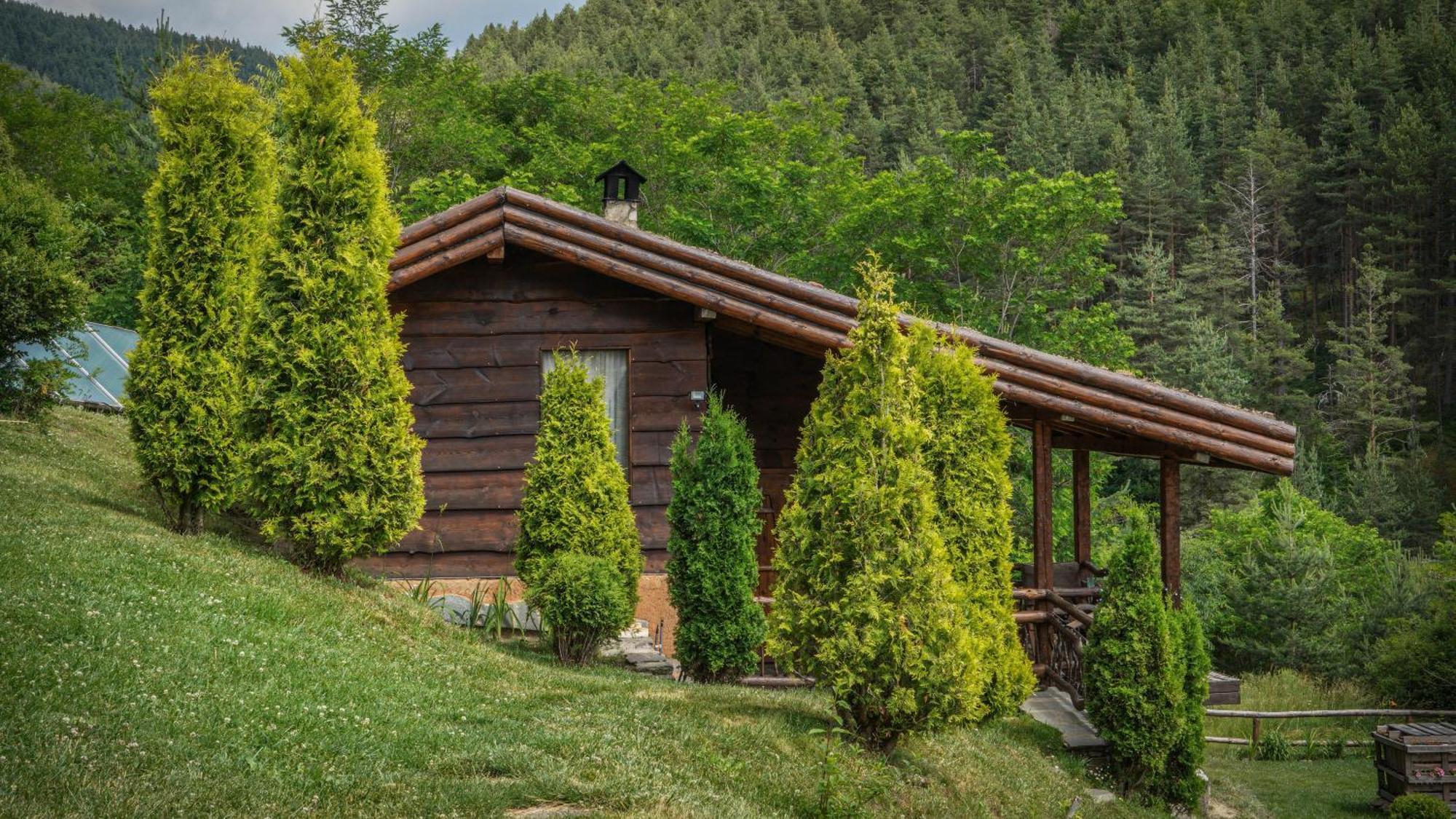 Панорама Хаус Лещен И Еко Къщи Дървена И Землянка Luaran gambar